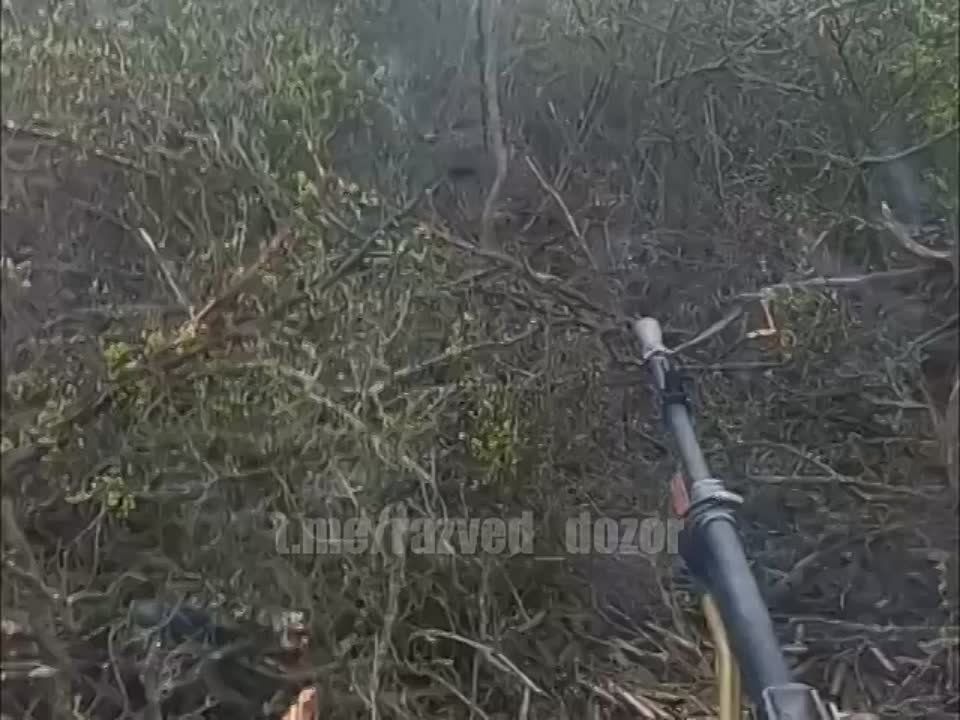 ����� ������ ������ ������ 20 ����� �� �������� "����" �� �������� ��� ��� ���������