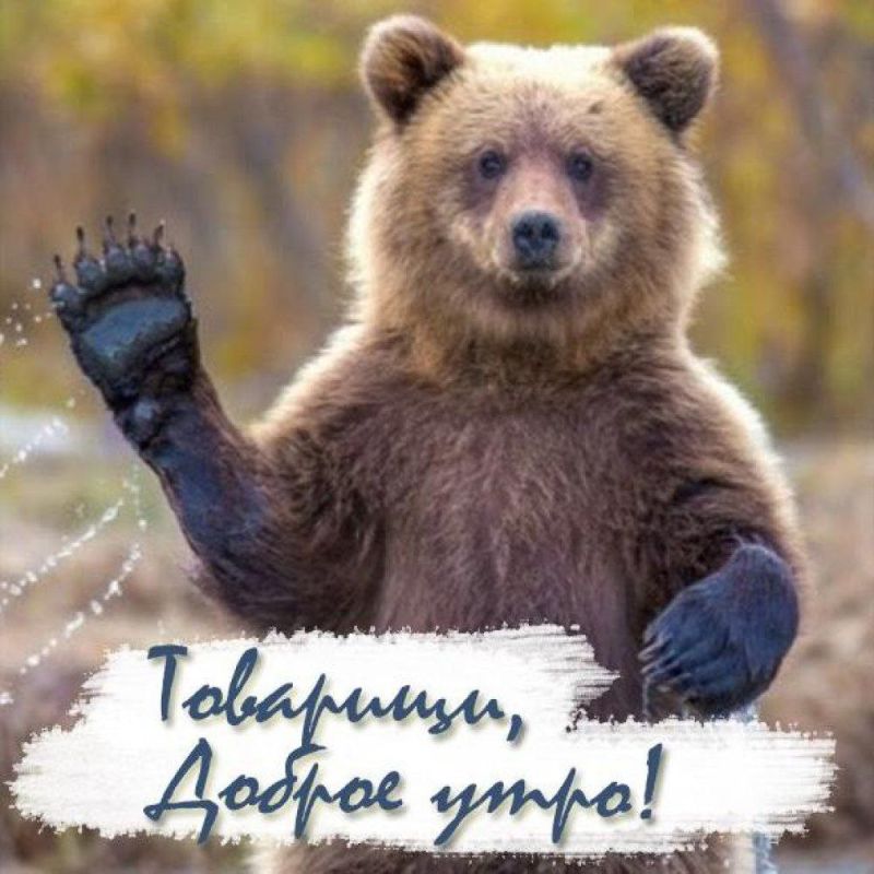 � ������ �����! �������� ���!