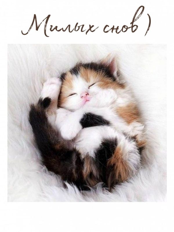 ������ ����, ������� ����������!