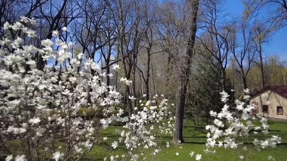 ������ ����!. ��� ���� �������� ������ � ������)