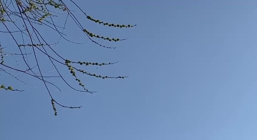 � �������� �������� ������������ � �������� ��������� �������