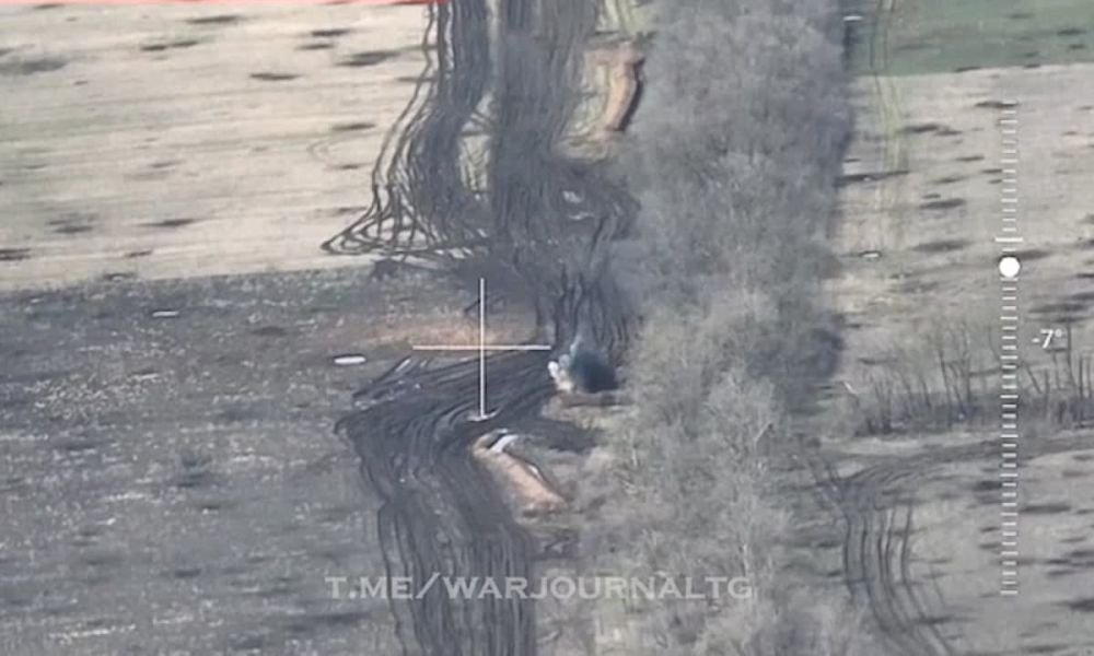 ��������� ����������� ��� �113 � ����������� �������