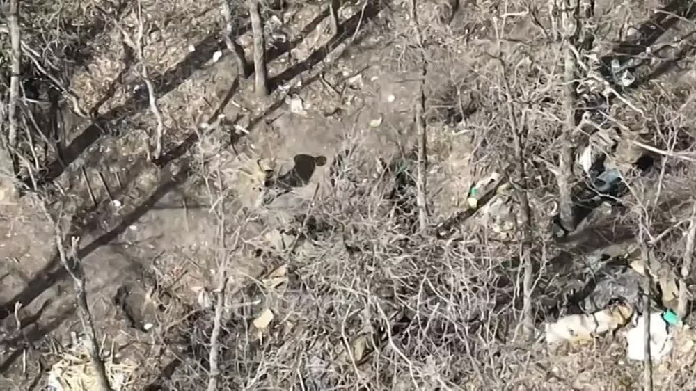 ������ ���-1� �� ��������� �����������