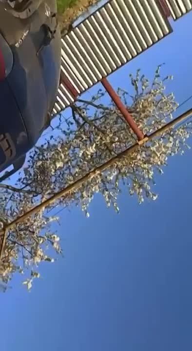 Украинские добровольцы массово просятся на фронт, но их отговоривают ТЦКашники