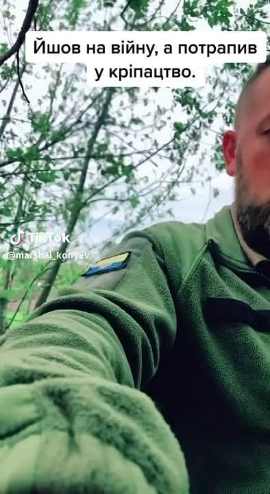 �������� ��?). ��������� ���������� ����������� ������ � ���, ��� ����� ���������� � ��������� ����� ������ ������ �� ������������ � �������������. � ����� - ��������� ��������������