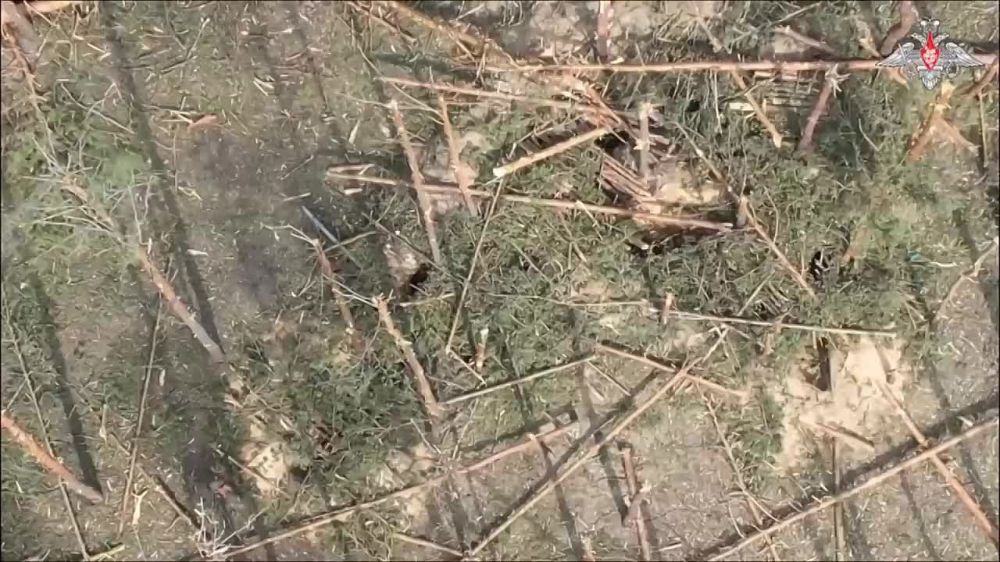 ���������� ������� ����� � �������� ����� �������� ��� �� ����������� ������� - ���������