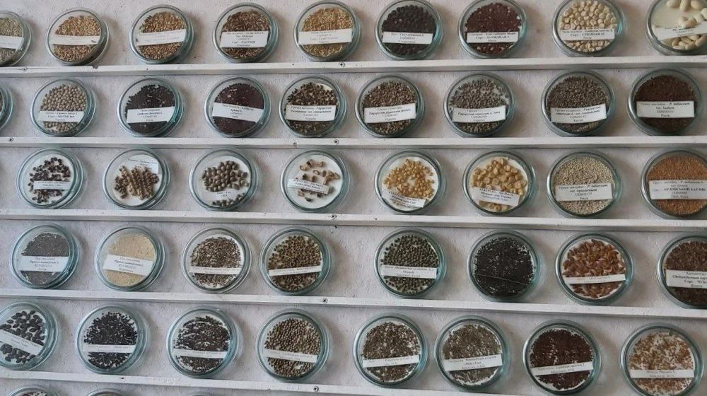 Из Харькова на Западную Украину вывезли уникальную коллекцию семян