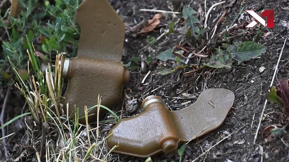 2 � ���������� � ����������� �������, ������� ������� �����, �������� �������� ���������� � ����� "��������" �������� � ����� ������� "�������