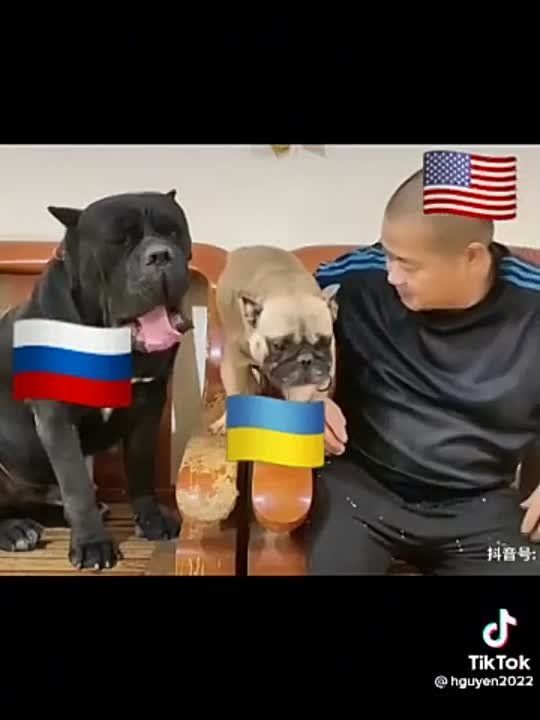 Зеленский «пробудет в Финляндии дольше, чем планировалось» – финское ТВ