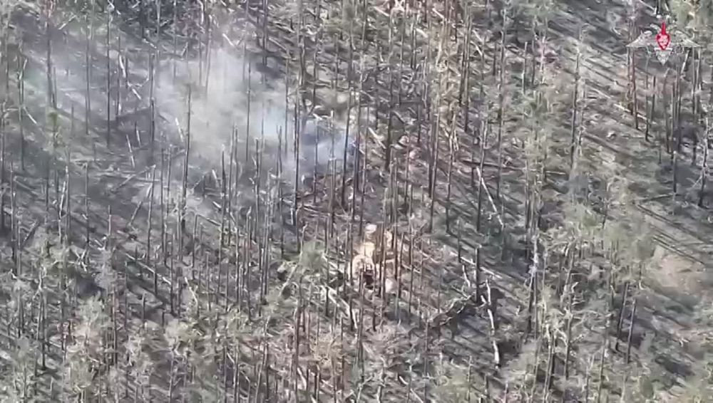 Сабатр Черноморского полка бодро насыпает ВСУкам в Кременном лесу