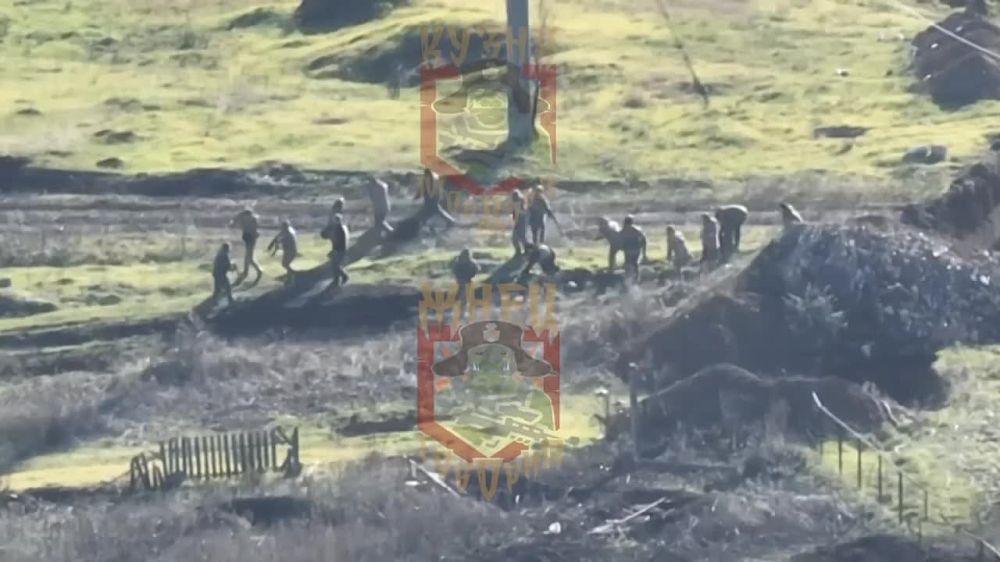 ������ � ���� �������� �� ��������� �����������