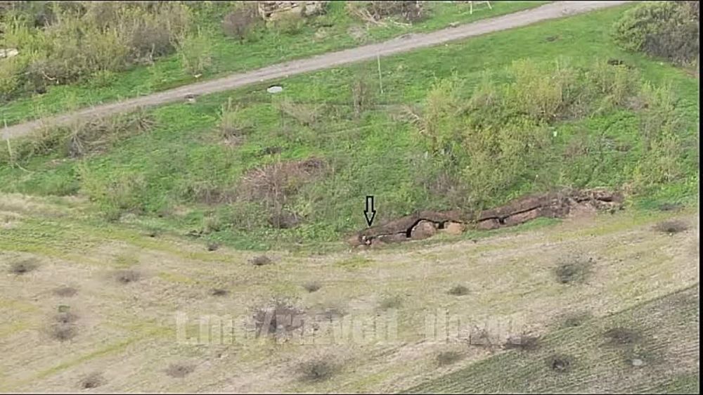 ������������ 1-� ����������� �������� ����� ��� �� ������ �������� �� �������� � ������� ��������� ���������� ������������� ��� �� ��������� �����������