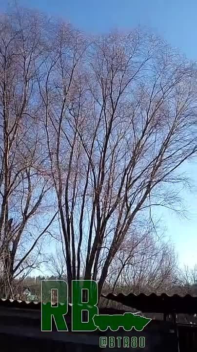 ���� �������� �� ����������� �����������