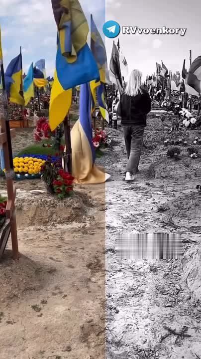 �������� �� ������� ������� ����������� "����������" � ������� ������� ���