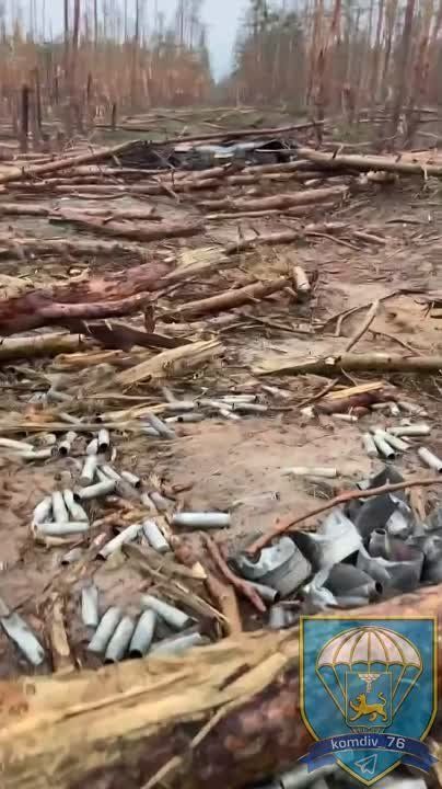 В лесу под Кременной. #насамомделе #Харьков #Украина #Россия #СВО