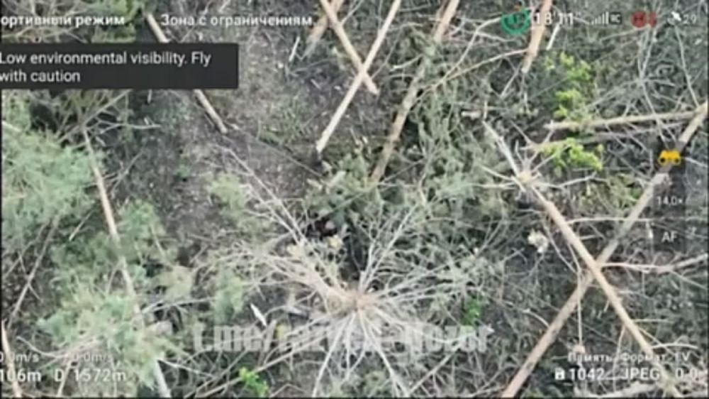 ����������� �������. ��������� ������ ���������������� ����������� ��������