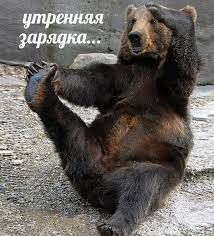 � ������ �����! ������������� ���!