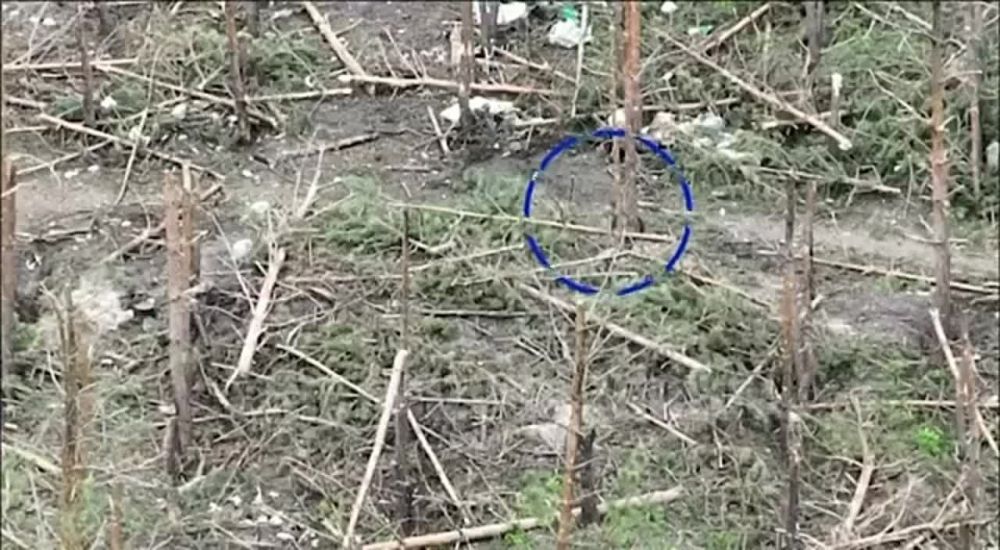 ����������� �������, �.�. ���������