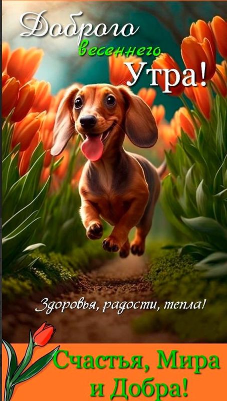 � ������ �����!. ������ � �������� �� �������: