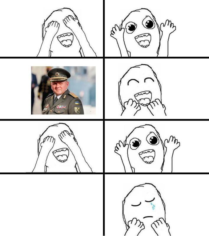 Подборка лучших мемов о Залужном