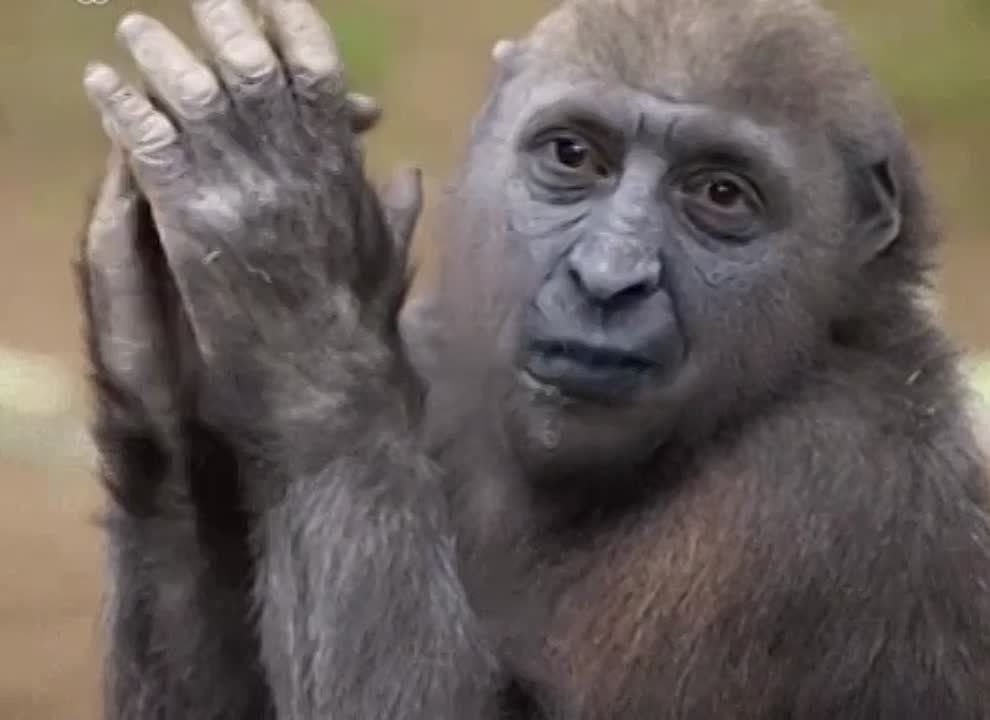 ������� ����� ������� ������ ����������� ����� ��� �� ��, ��� ��� �������� � ������