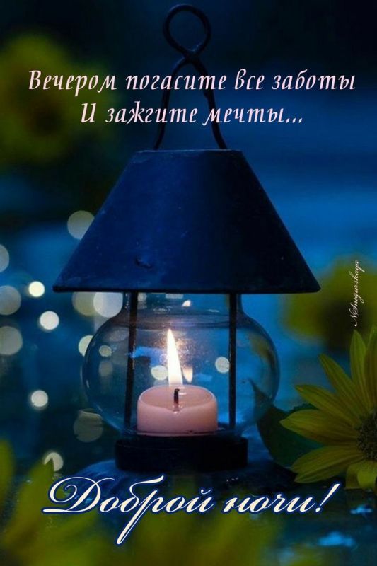 Доброй ночи, Дорогие подписчики!