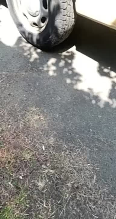 ���������� � "����������������" ��� ������ ����� :)