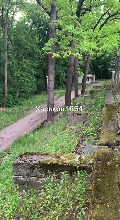 � �������� ����� ������� �������� ������