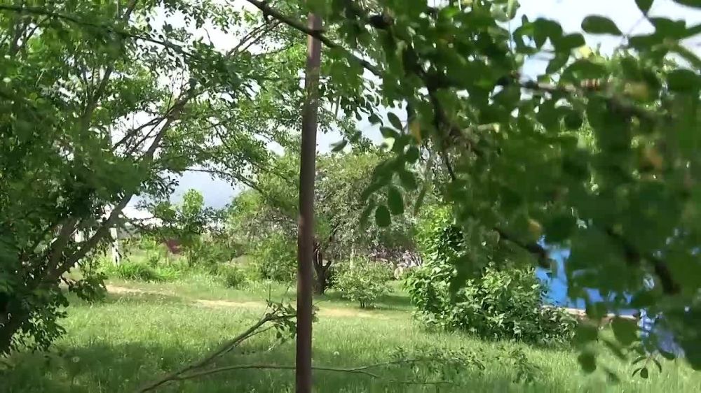 Репортаж с пункта пропуска "Грайворон"