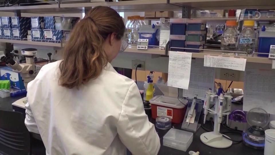 В Минобороны РФ представили новые данные о военно-биологической деятельности США на Украине