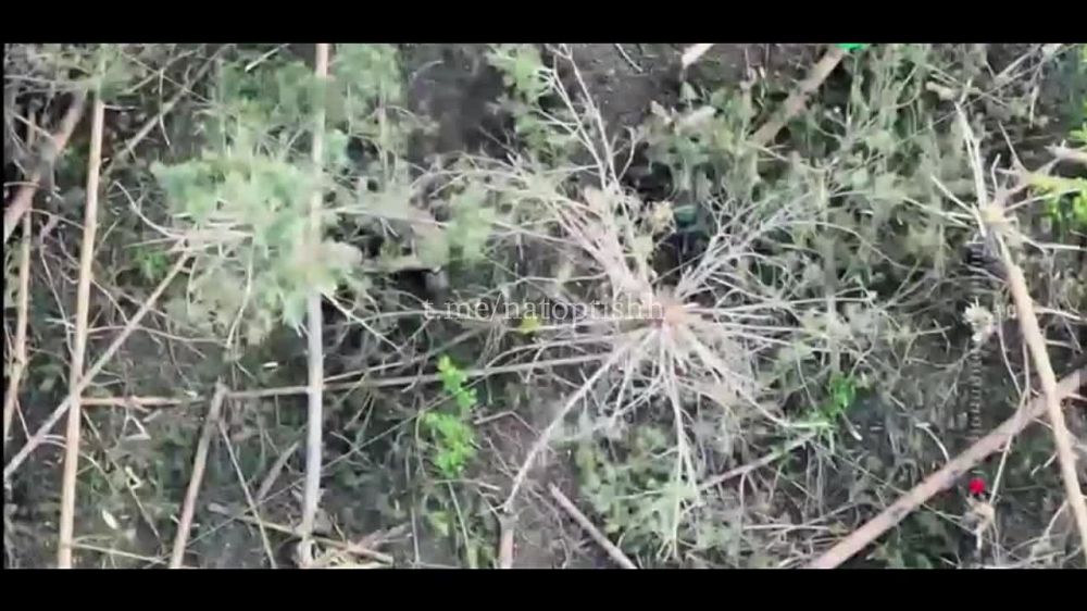 Операторы квадрокоптеров 138 бригады ВС РФ продолжают отправлять подарки военнослужащим ВСУ в Харьковской области