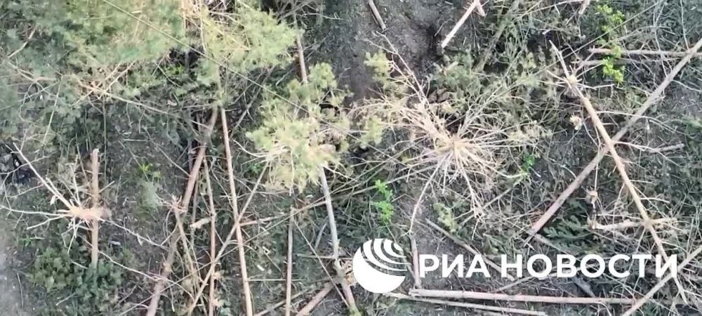 � ������������ ��� ������� ��������� ����� ������ ������� �������� 6-� ����� ��������� �������� ������ �� ���������� �������� � ����������� �������