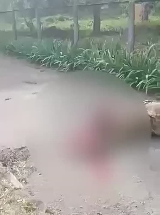 �� ������� �������� ���� ��� ��������� ������ �������