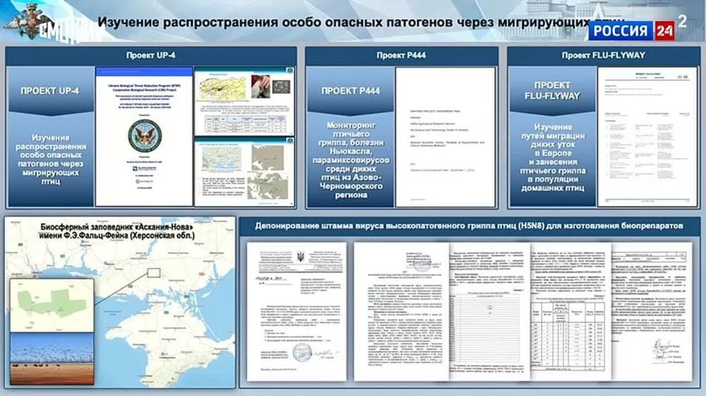 ���������� ����������� ����� ����� � ������������� ������� ������ �������� ������ �� �������