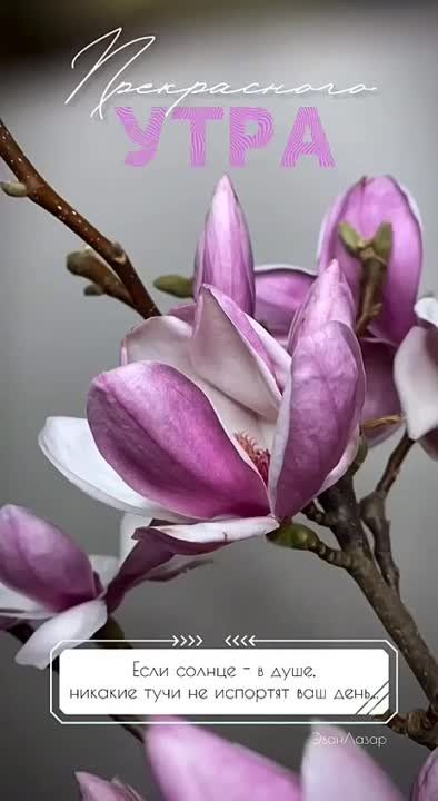 � ������ �����!. ������ � �������� �� �������: