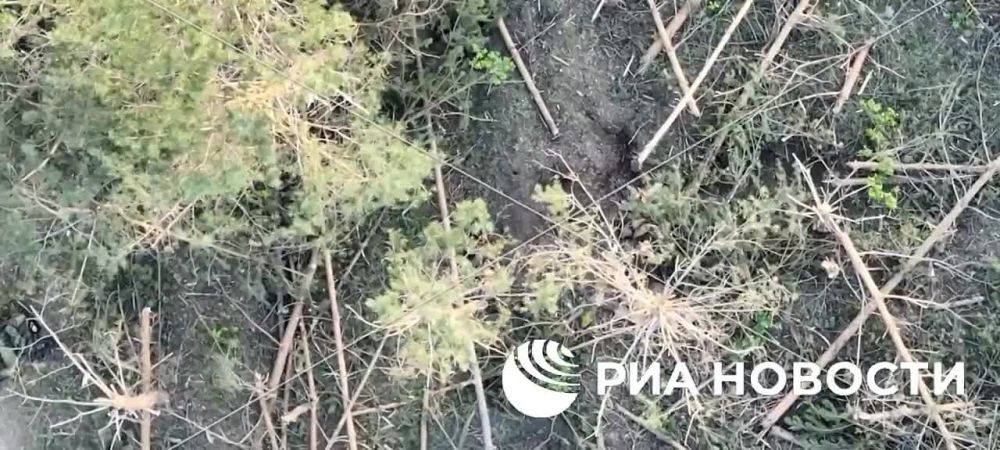 ������ ������� �������� 6-� ����� ��������� �������� ������ �� ���������� �������� � ����������� �������