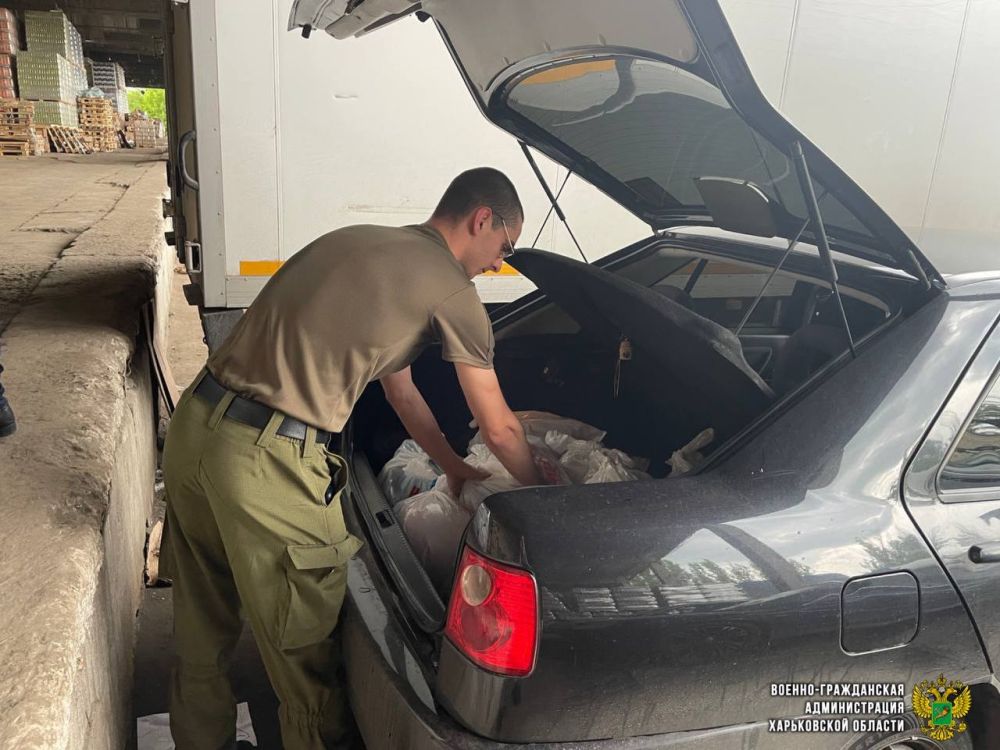 ���������� ��������������� ������������� �������� ��������� ����� �������� �������������� ������� ������ ������-����������� ������������� ����������� ������� �� ��� ��������� ������ ������������ ������ ��� ����������� ������������ �� ����������� �������