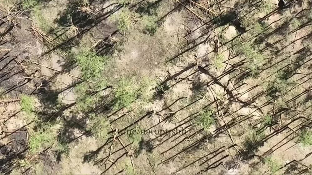 Операторы БПЛА 6 армии ЗВО продолжают очищать Купянское направление от подразделений боевиков ВСУ