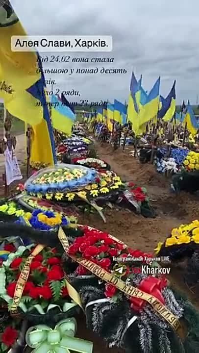 ����� �����, �������. ����� 24.02 ��� ����� ������ ����� ��� � ������ ���. ���� 2 ����, ������ ��� 23 ����