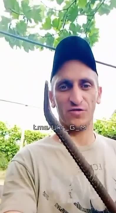 ����������� "������������" ����������� �� �������