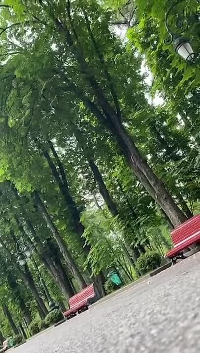 � ������ �����!. �������� ����������� ���� �� ����� ��������