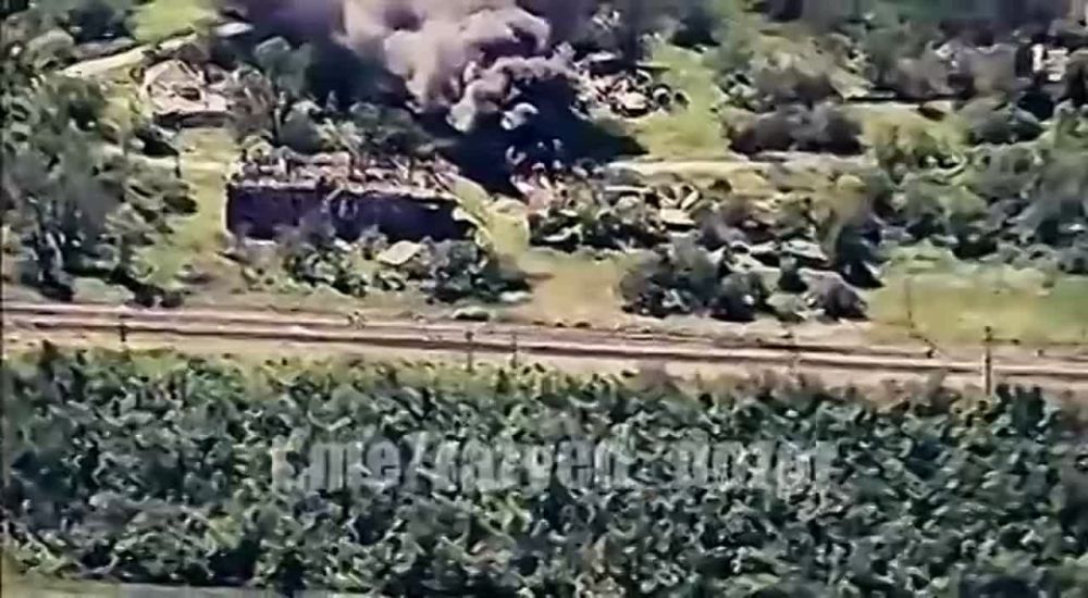 ����������� �������. ����������� 47 ��. ���������� ����� �� 92 ���� � ��������