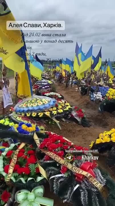 ������� � ������� ���������� ����������� ��������