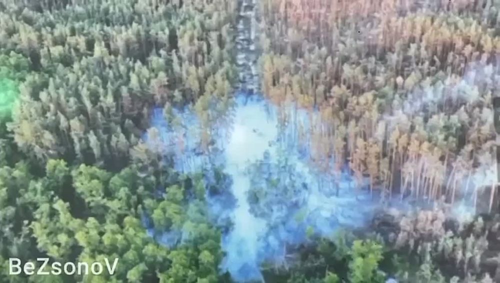 5 ���� ����� 21:00 � ��������� ����������� ������� ���������� ��� ��� ���������� ������ �������������� ���������-������