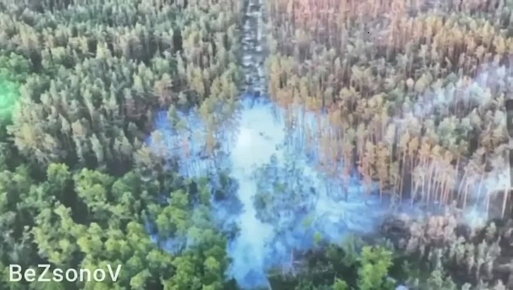 ������ ��������: ������� ��������� ������������� �������� - ������