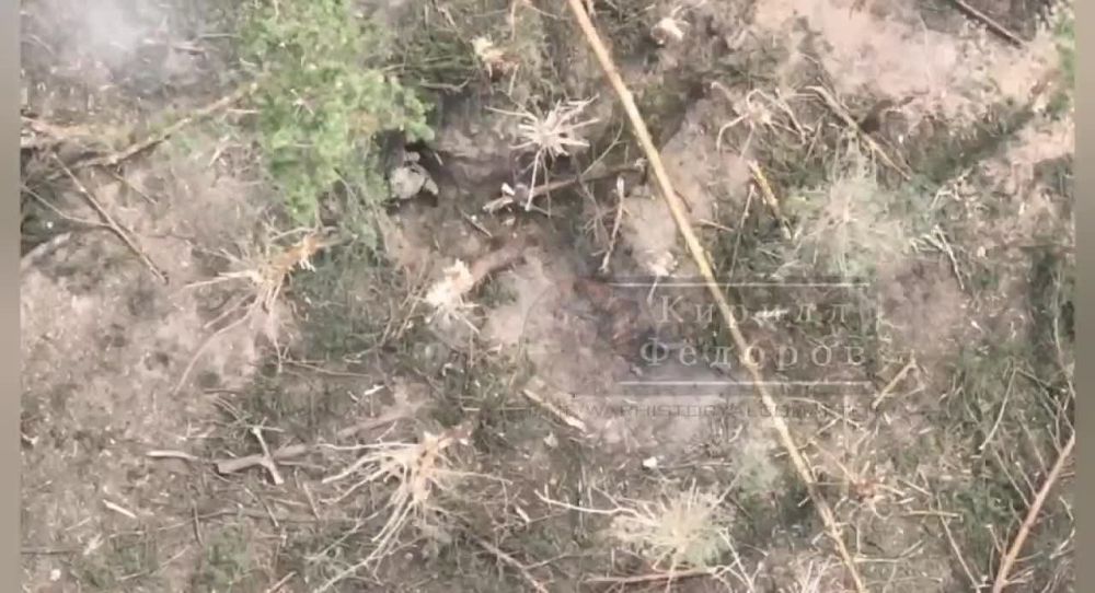 ����������� �������. ������� ��� ��������� �� ��������� �� ��������� ����������� �����. ������� �� ���������� ���������...