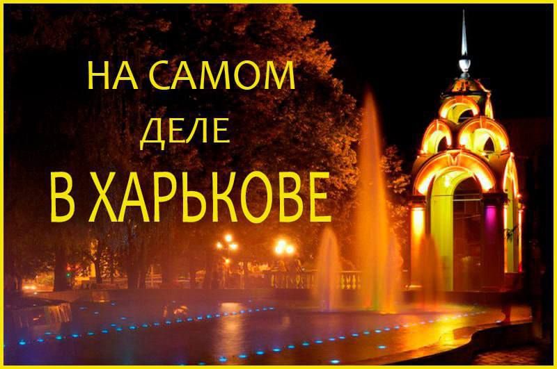 ��������� Live: ������������ � �����, ������� ������������� ������ ��������, ���������� ����������� �� ��� �����: