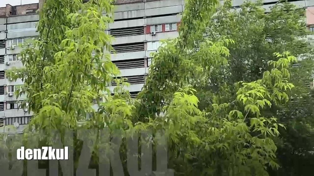 ����� ������: �������. ��� �������� ������. ���� �� ����������� ������ - �������� �� ������� ��������