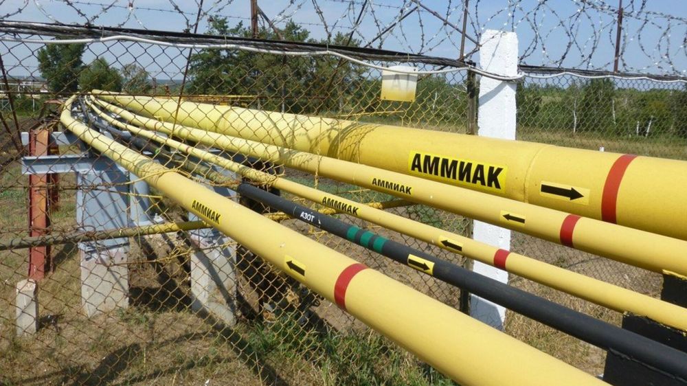 В МИД РФ рассказали, как подрыв аммиакопровода Тольятти-Одесса повлияет на зерновую сделку