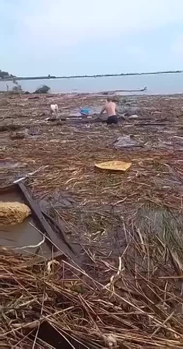 � ������ ������ ������, �������, ��� ����������, �������� �� ����� ����� 140�� �� ���� ���������� � �������